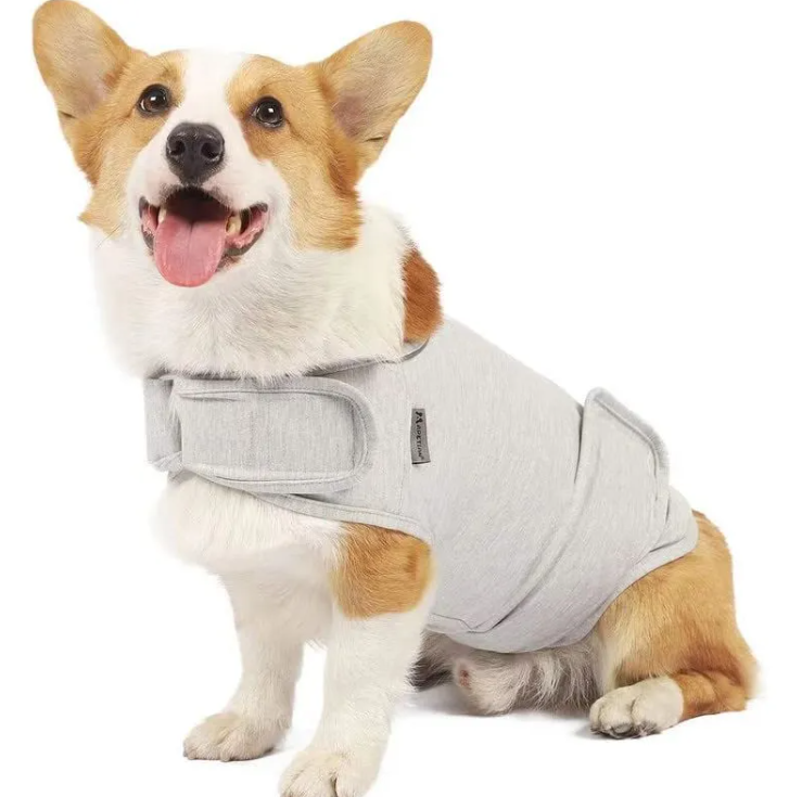 Dog resting comfortably in a calming anxiety vest