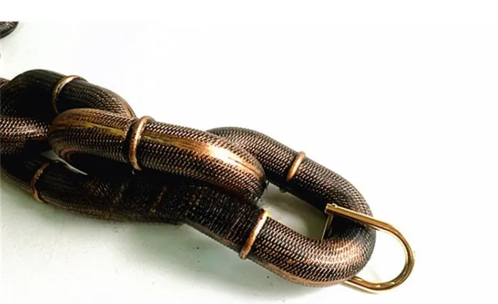 Calm Clean Companion Chew-Proof Chain Leash