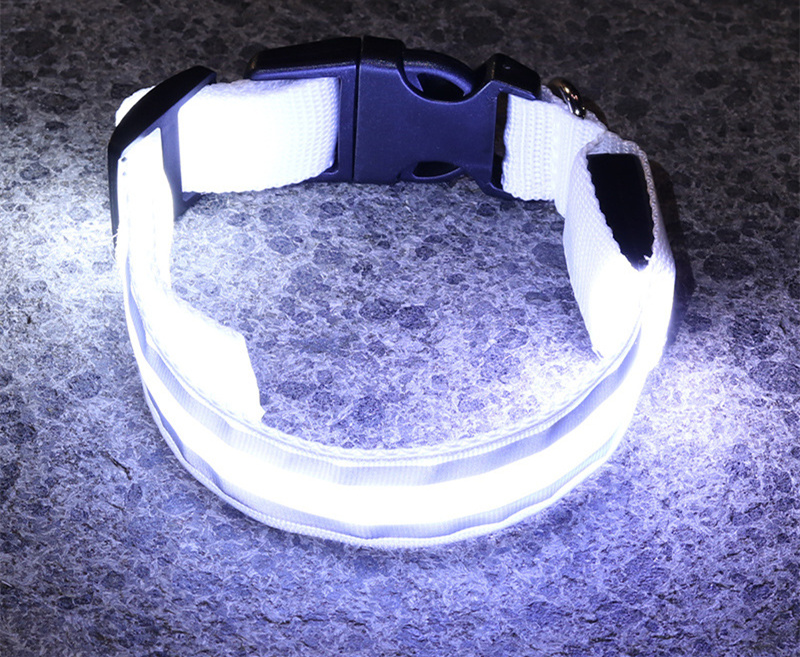 Calm Clean Companion Rechargeable LED Safety Collar