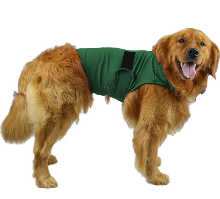 Golden Retriever wearing Calm Clean Companion Anxiety Relief Vest in green
