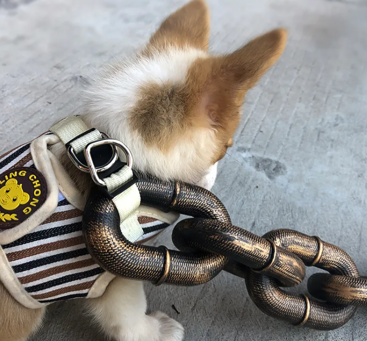 Calm Clean Companion Chew-Proof Chain Leash