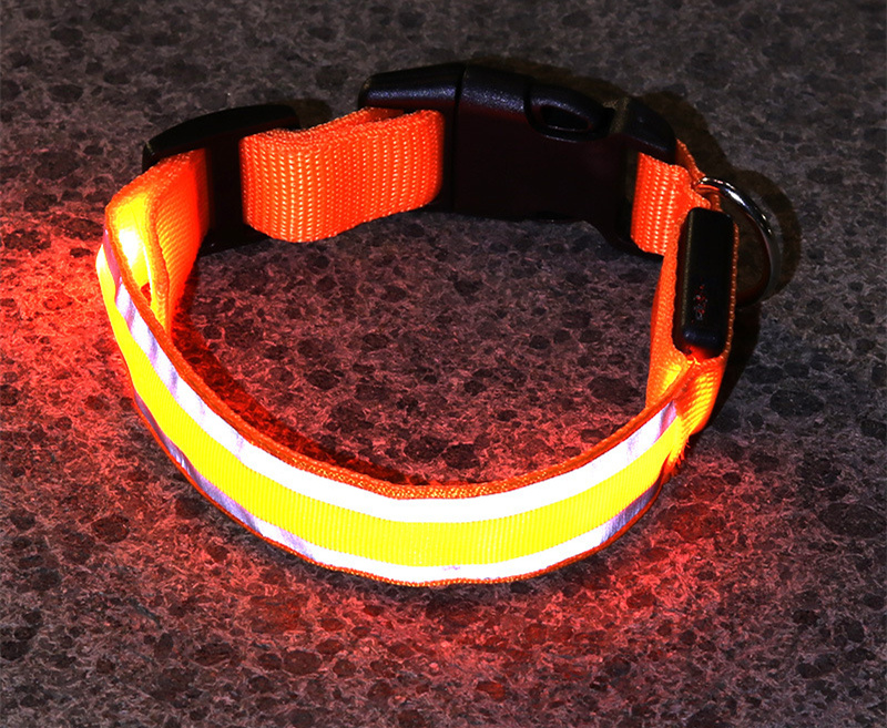 Calm Clean Companion Rechargeable LED Safety Collar