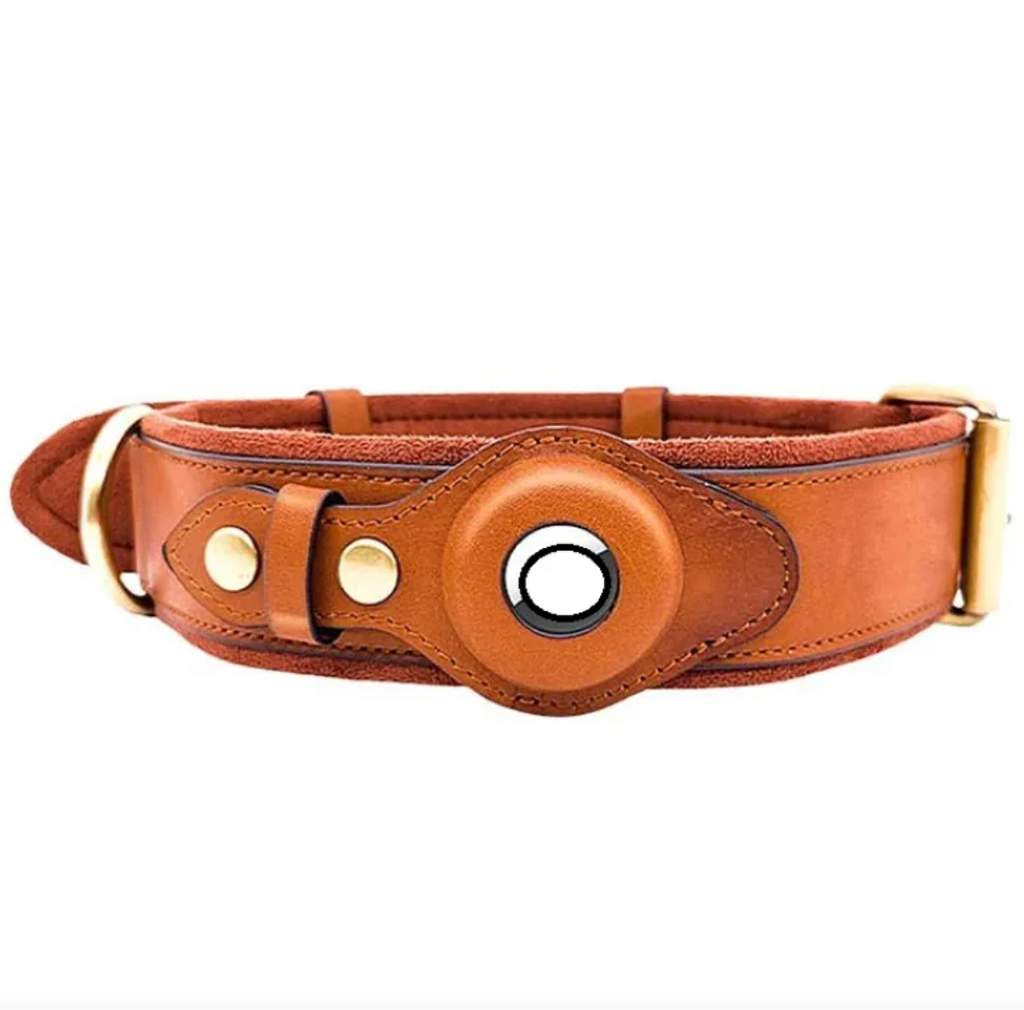 Calm Clean Companion Leather AirTag Collar