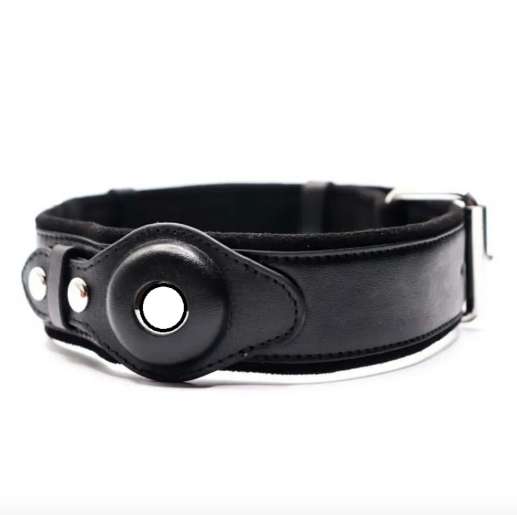 Calm Clean Companion Leather AirTag Collar