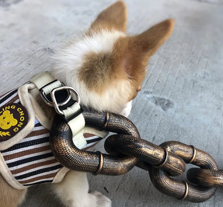 Calm Clean Companion Chew-Proof Chain Leash