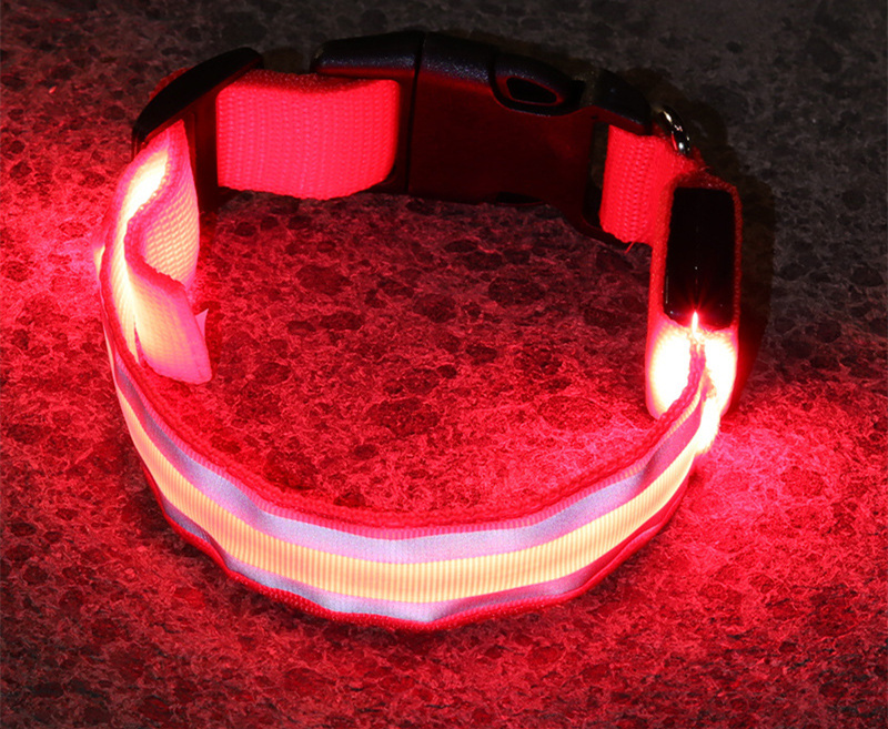 Calm Clean Companion Rechargeable LED Safety Collar