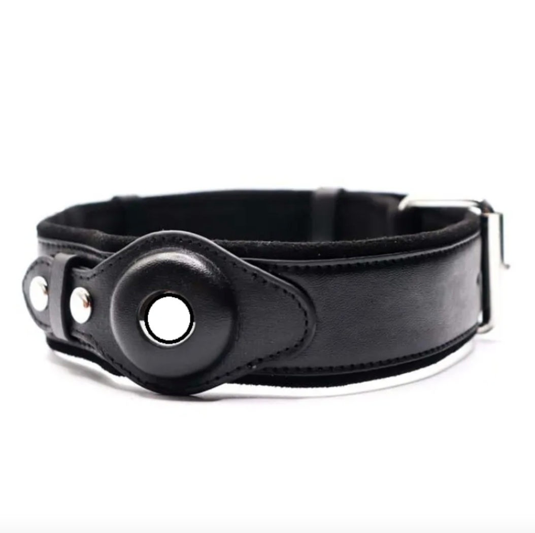 Calm Clean Companion Leather AirTag Collar