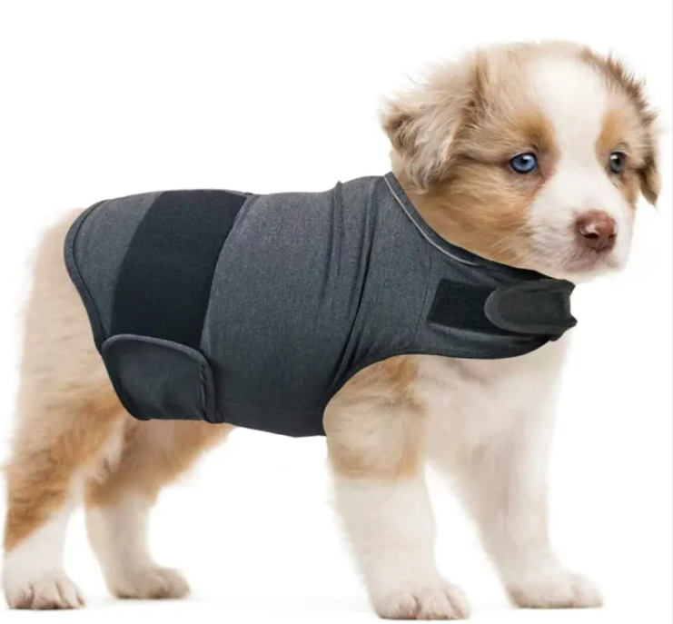 Puppy wearing Calm Clean Companion Anxiety Relief Vest in grey