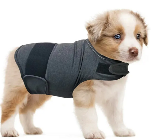 Puppy wearing Calm Clean Companion Anxiety Relief Vest in grey