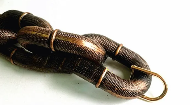 Calm Clean Companion Chew-Proof Chain Leash