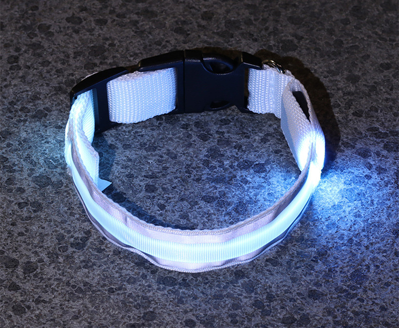 Calm Clean Companion Rechargeable LED Safety Collar