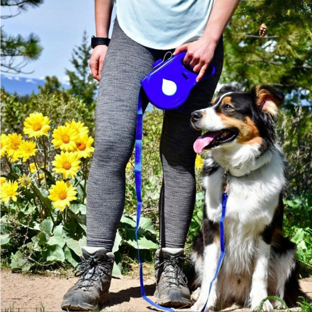 Calm Clean Companion Everyday Retractable Leash
