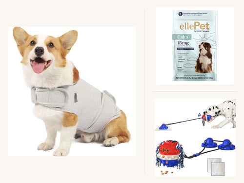 Anxiety Relief Starter Kit: calming vest, wellness chews and chew toy shown together
