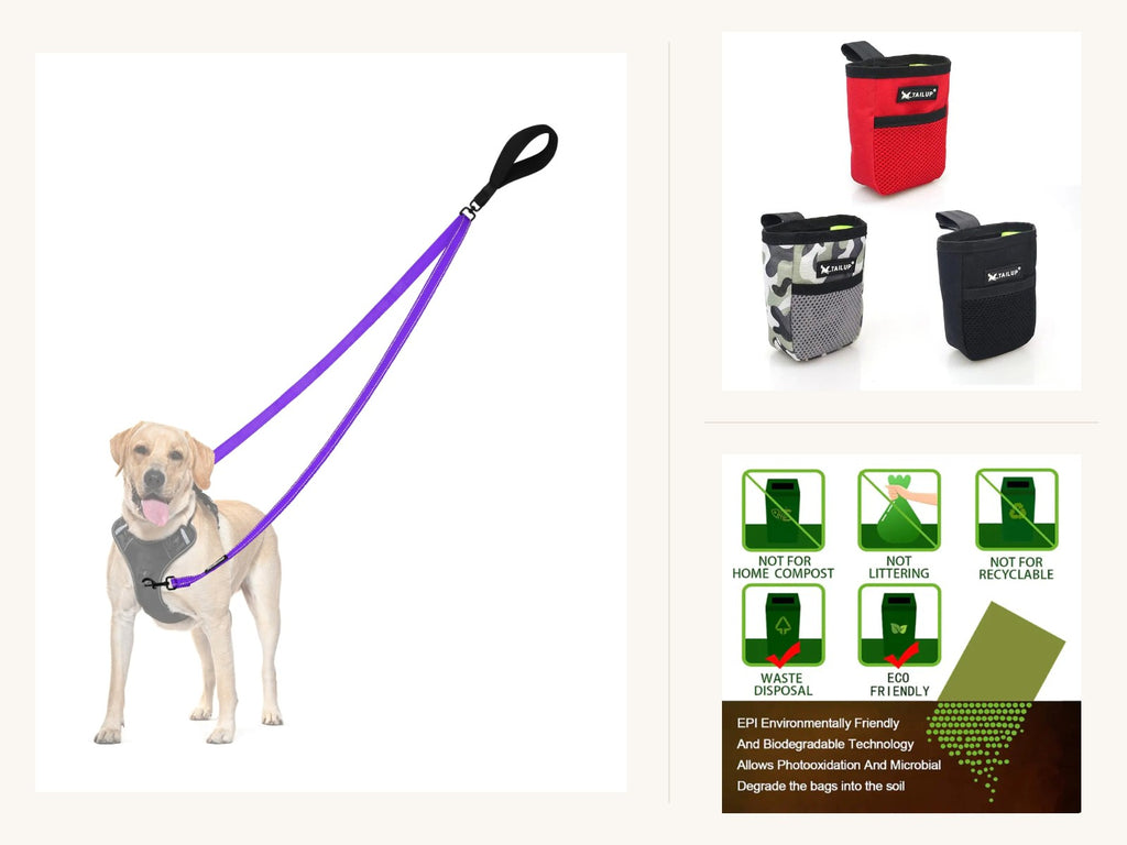 Walk and Train Essentials Kit: padded leash, treat pouch and poop bags shown together