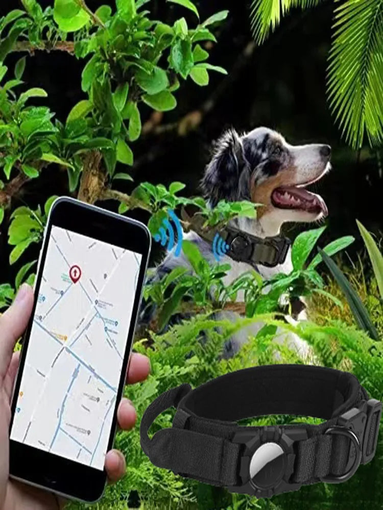 Calm Clean Companion Padded AirTag Collar