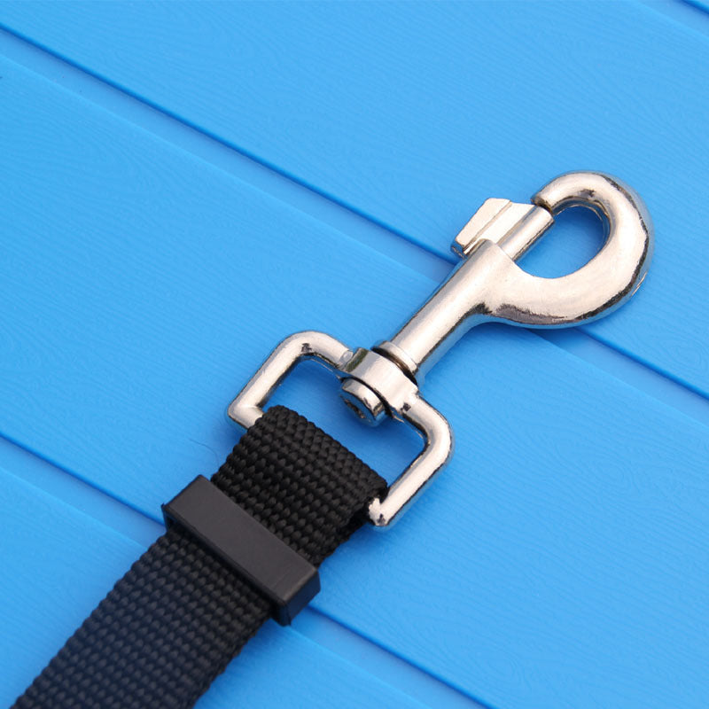 Calm Clean Companion 15 m Long-Line Training Leash