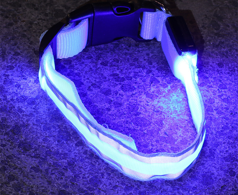 Calm Clean Companion Rechargeable LED Safety Collar
