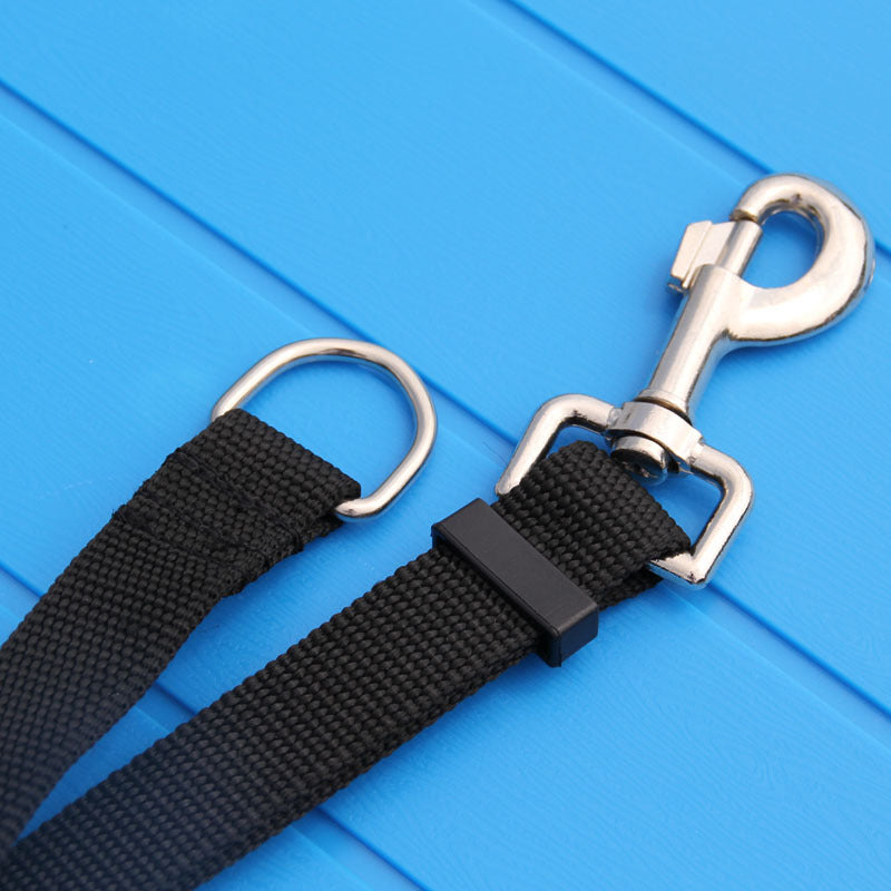 Calm Clean Companion 15 m Long-Line Training Leash
