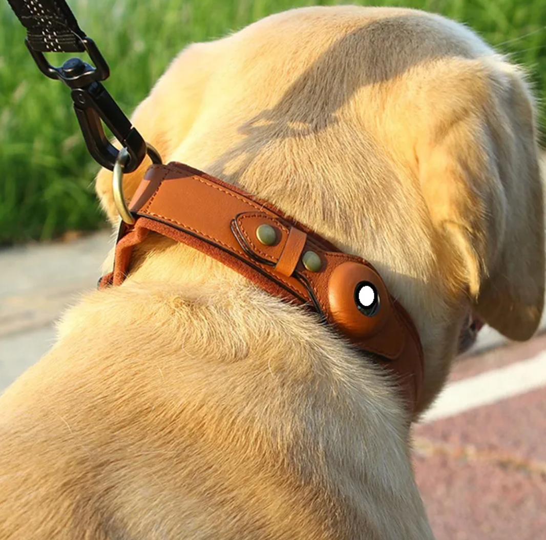 Calm Clean Companion Leather AirTag Collar