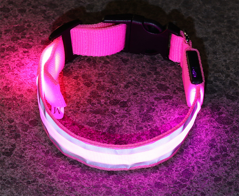 Calm Clean Companion Rechargeable LED Safety Collar