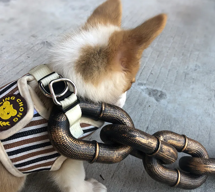 Calm Clean Companion Chew-Proof Chain Leash