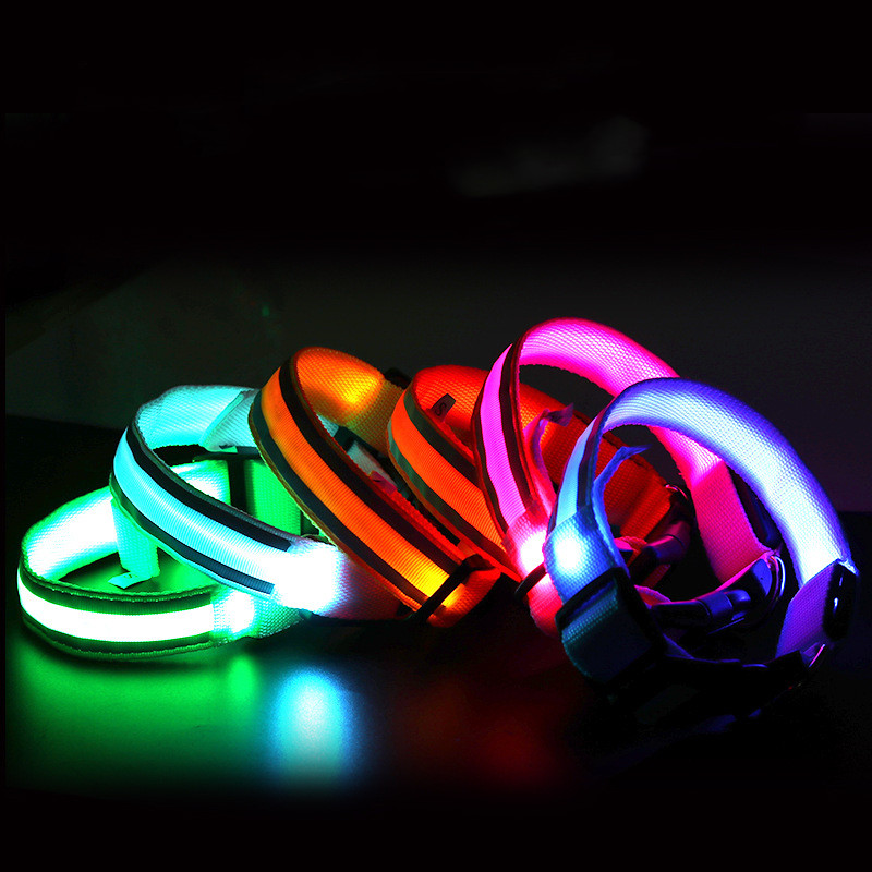 Calm Clean Companion Rechargeable LED Safety Collar
