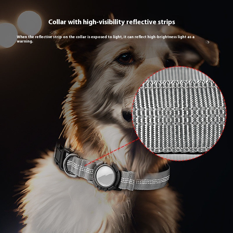 Calm Clean Companion Everyday AirTag Collar